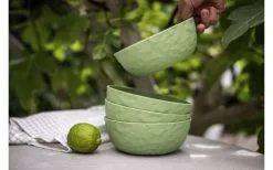 Koziol Club Geschirr-Set 16-tlg. Grün -Campingutensilien Elegant Magasin 444029 3144581