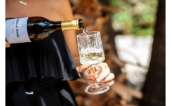 Berger Weinglas 2er Set -Campingutensilien Elegant Magasin 594239 4331207