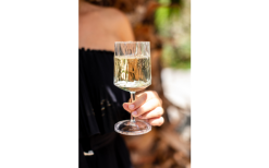 Berger Weinglas 2er Set -Campingutensilien Elegant Magasin 690069 4697631